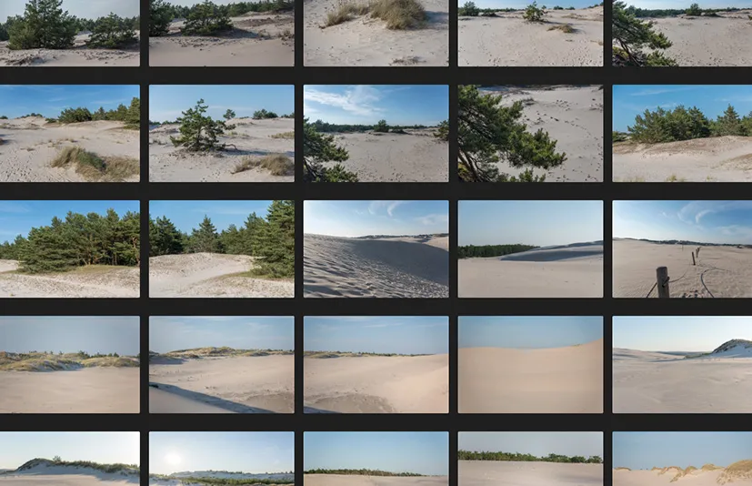 沿海沙丘 - Coastal Dunes
