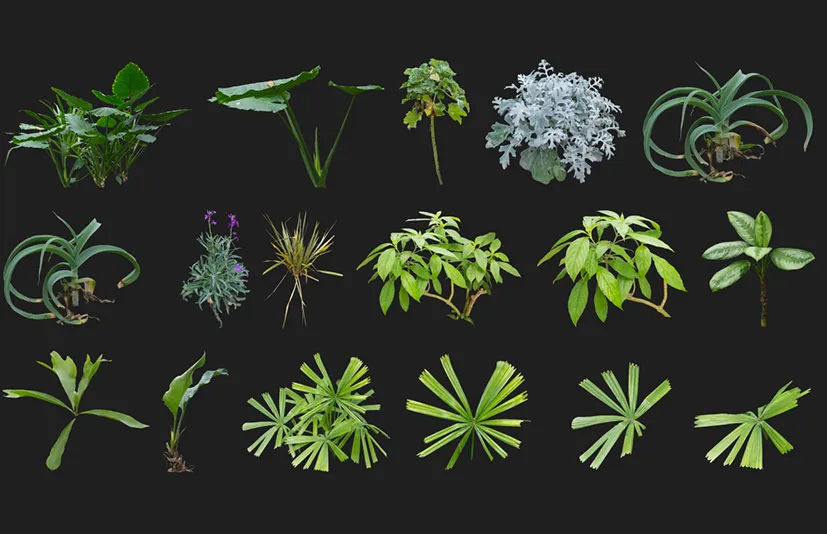 枝叶植物包 - Cutout pack - Foliage