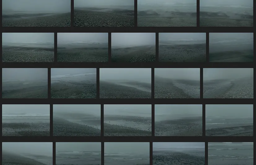 死亡海岸 - Dead Coast