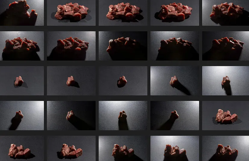 生物肉体与皮肤 - Flesh & Skin