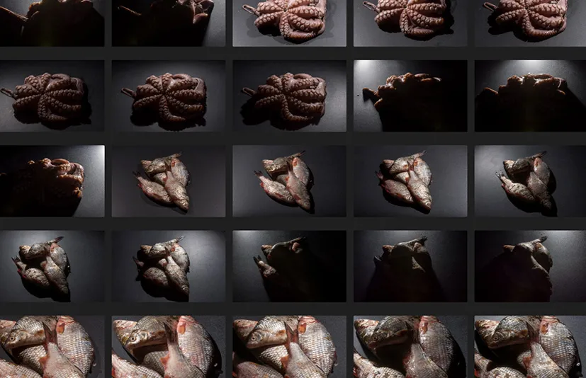 生物肉体与皮肤 - Flesh & Skin