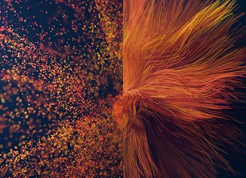 专业粒子 - 几何节点粒子系统 - Pro Particles - Geonodes Particle System v2.2.0