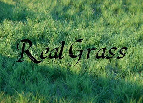 Blender真实草地 Real Grass v1.0