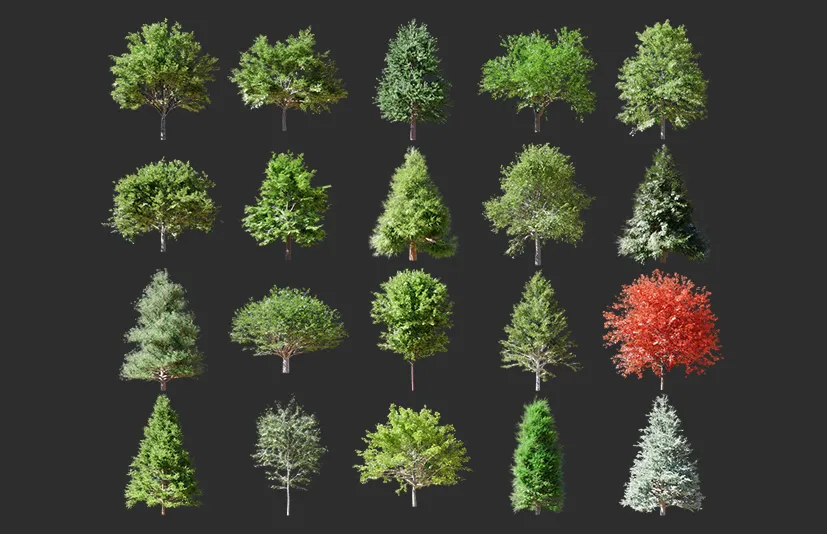 Blender真实树木包 Real Trees v1.1