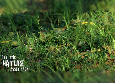 Blender逼真的自然资源包 Realistic Nature Asset Pack v1.2