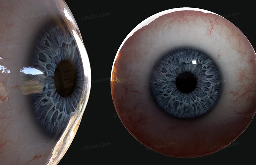 眼睛眼球虹膜贴图模型资产-Flippednormals Eye Kit