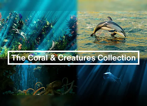 Blender珊瑚与生物系列模型预设 - The Coral & Creatures Collection v1.0