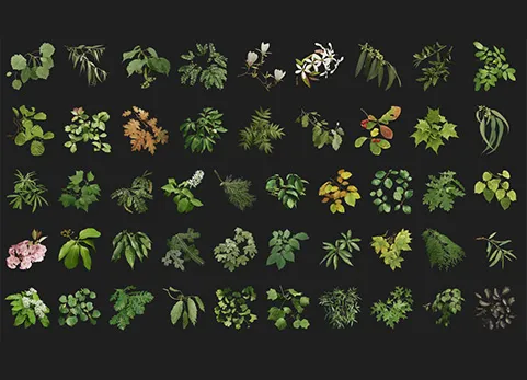 树枝资产 - The Grove–Twigs