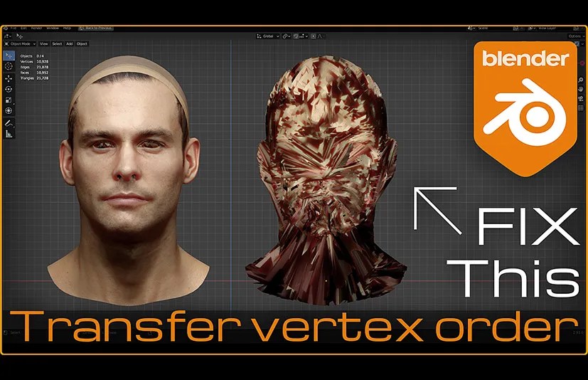 Blender转移顶点顺序插件 - Transfer Vertex Order v2.3