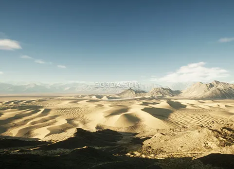 沙丘景观-Sand Dunes Landscape