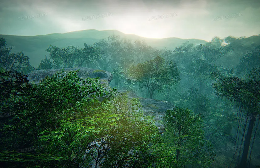 热带雨林-Tropical Forest