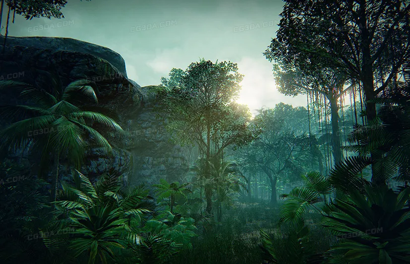 热带雨林-Tropical Forest