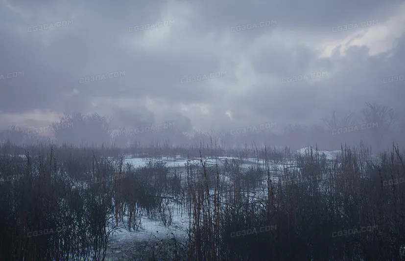 寒冷的冬季公园 - Bleak Winter Park