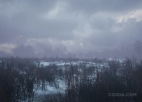 寒冷的冬季公园 - Bleak Winter Park