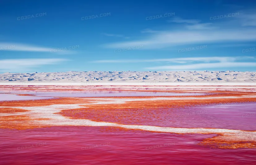 盐地景观 - Salt Landscape