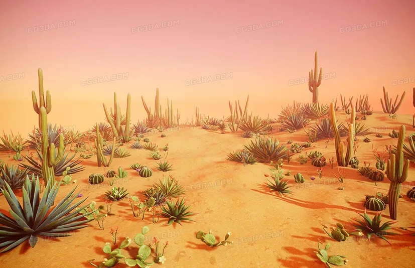 风格化的沙漠植物 - Stylized Desert Plants