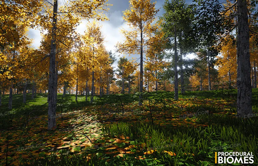 程序化生态环境-Procedural Biomes