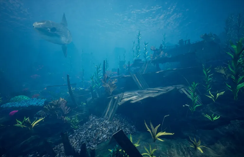 海洋环境珊瑚礁 - Ocean Environment Pack 2 - Coral Reef