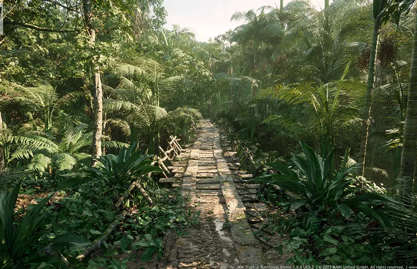热带雨林树木生物群落 - MW Tropical Rainforest Trees Biome