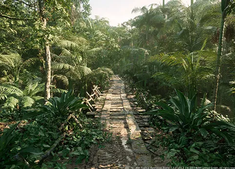 热带雨林树木生物群落 - MW Tropical Rainforest Trees Biome