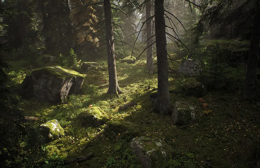 北欧针叶林生物群落 - Nordic Conifer Biome