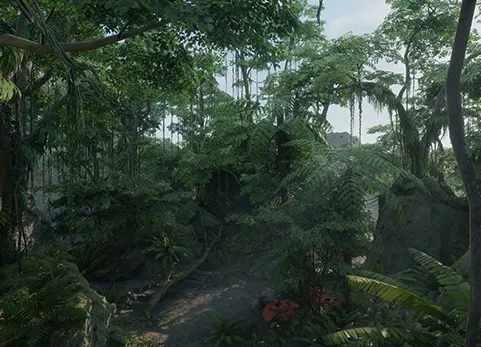 热带丛林包 - Tropical Jungle Pack