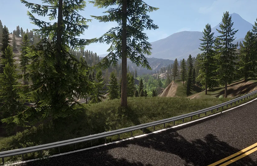 真实的森林 - Realistic Forest Pack