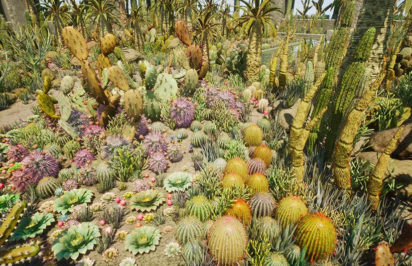 沙漠仙人掌植物 - Cactus Plants: Desert Garden