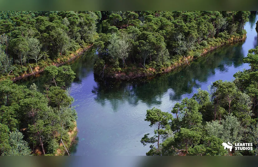 松树环境（树叶、岛屿、PCG、自然、河流） - The Pine Environment (Foliage , Island , PCG , Nature , River )
