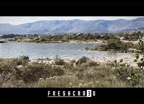 灌木景观环境（干旱平原景观） - Shrubland Landscape Environment ( Landscape , Arid Landscape , Plain Landscape )