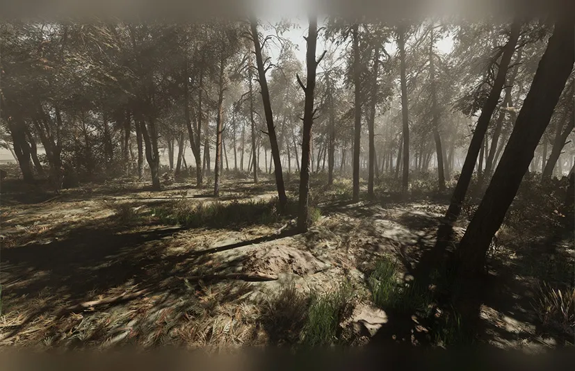 松树林 - 基于摄影测量的高多边形生物群落 - Pine forest - Photogrammetry based High poly Biome
