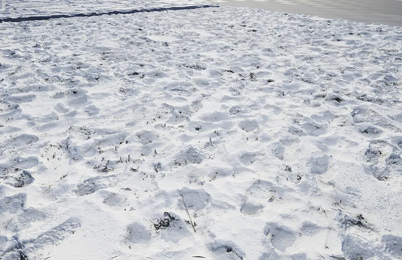 雪地材质 - Snow area materials. part 01