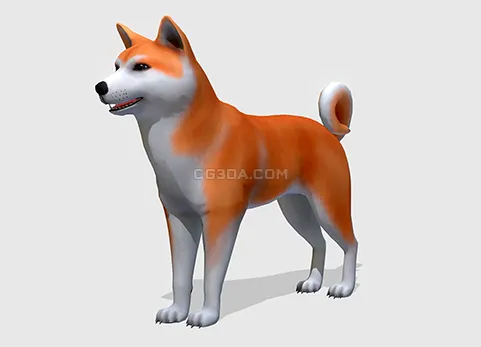 秋田犬-Akita Inu
