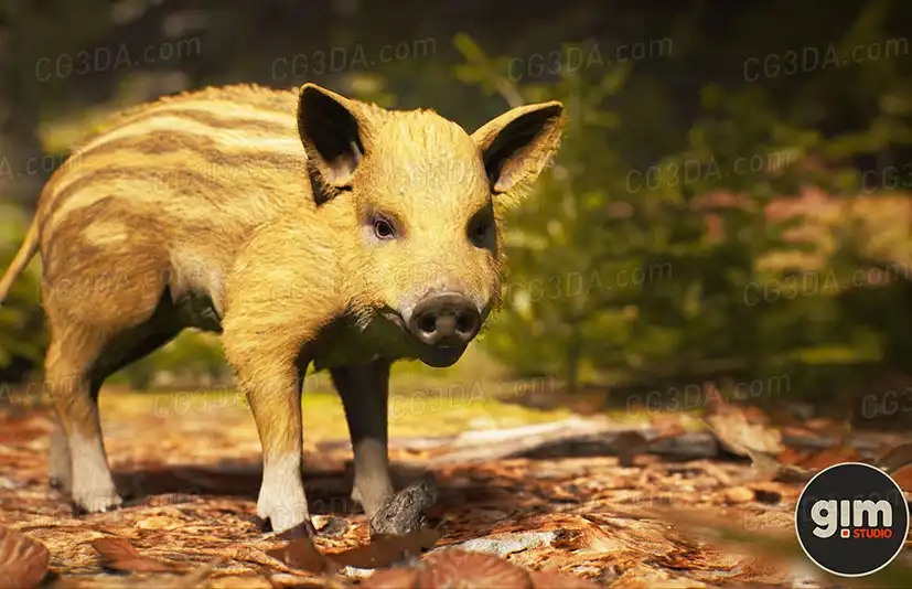 山猪野猪-Animalia - Wild Boar (young)