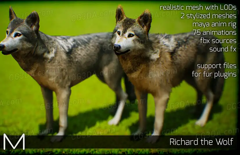 狼-Animals: Wolf