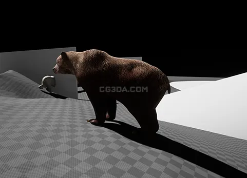 棕熊和北极熊-Bears pack