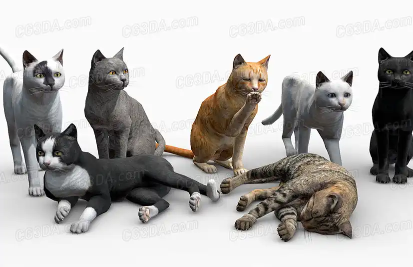 宠物猫-Cats Big Pack