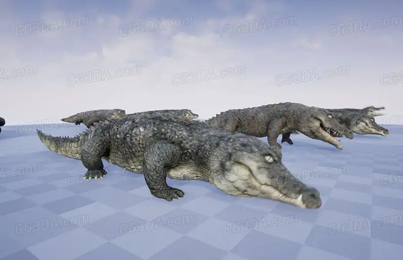 鳄鱼-CROCODILE