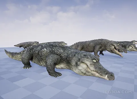 鳄鱼-CROCODILE
