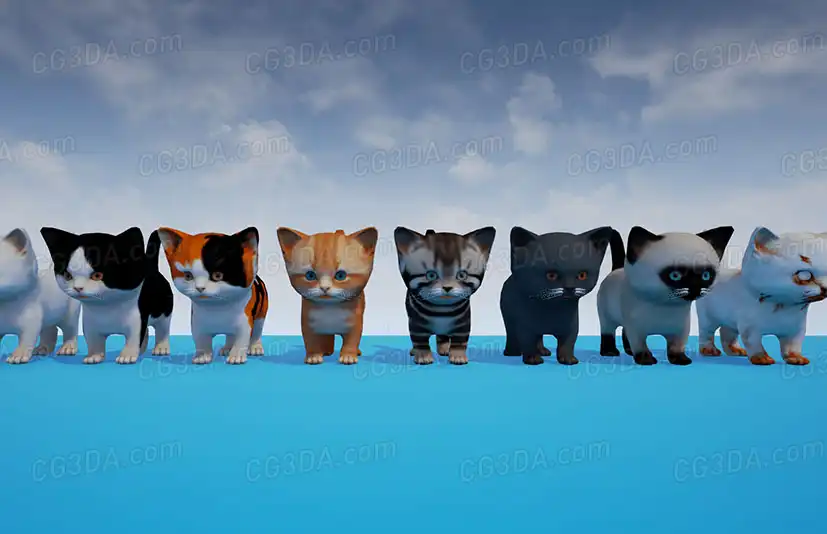 可爱的小猫-Cute Kitten