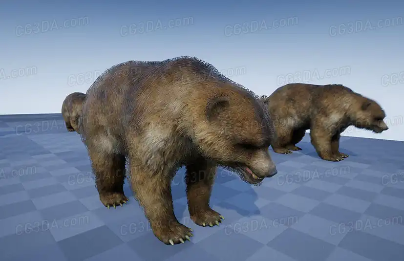 森林动物包-FOREST ANIMALS PACK