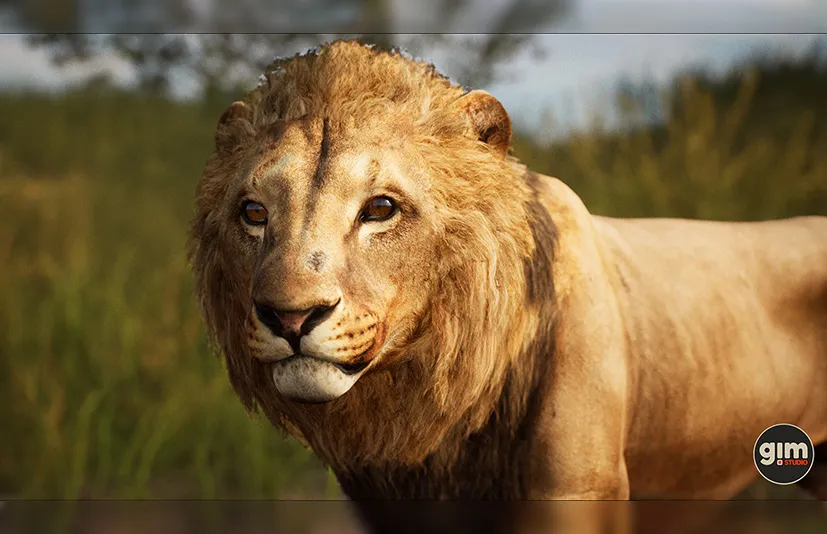 动物 - 狮子（雄性） - Animalia - Lion (male)