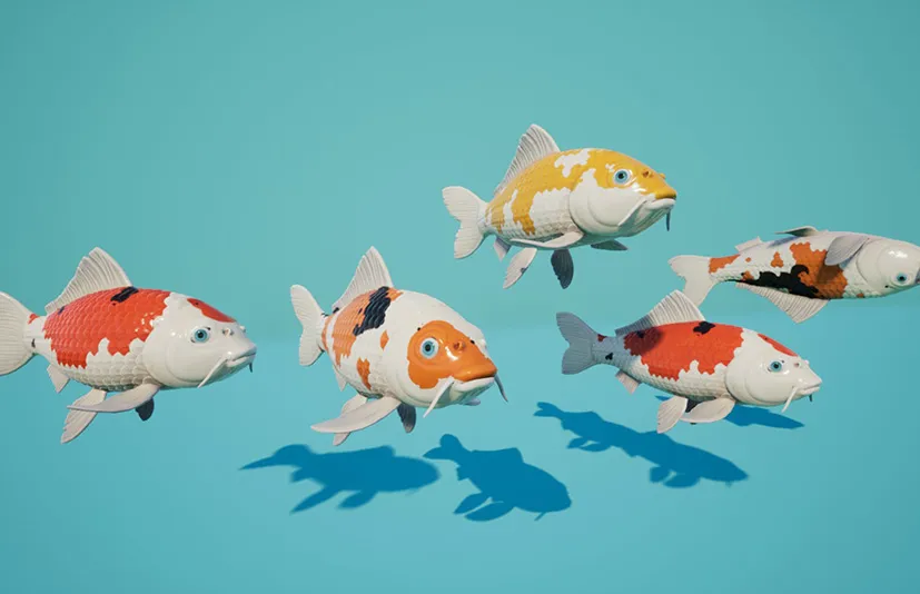 锦鲤日本鳗鱼 - Koi. Japanese carp