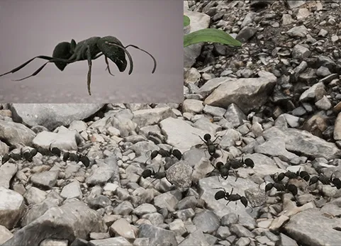 蚂蚁/蚂蚁路径蓝图 - Ants