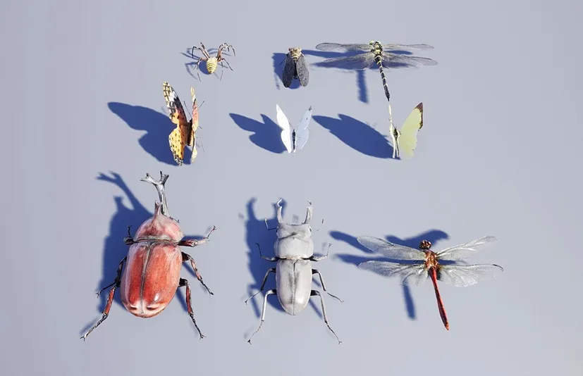 昆虫包 - Japanese Insect Pack
