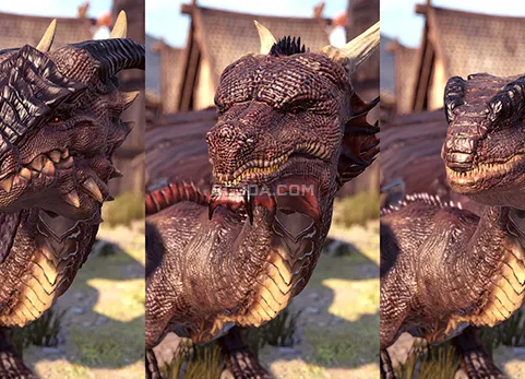 飞龙/火龙-Dragons Pack PBR