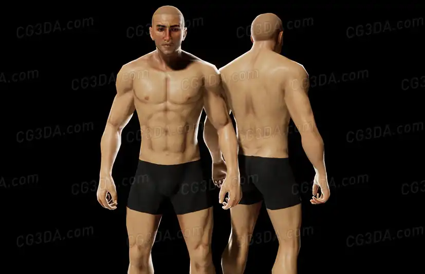强壮男性人体模型-Human Base Male