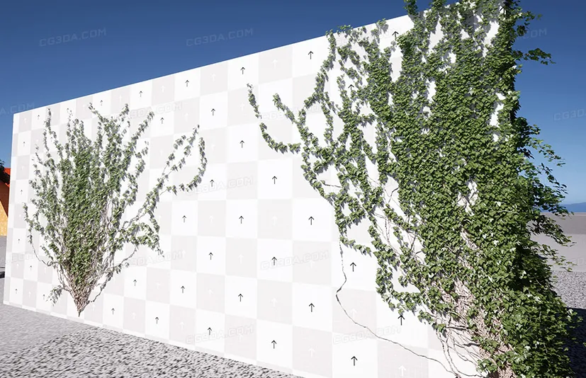 藤蔓插件-Crazy Ivy - Procedural Ivy & Vine Generator Plug-in - Auto Grow Plants In Editor