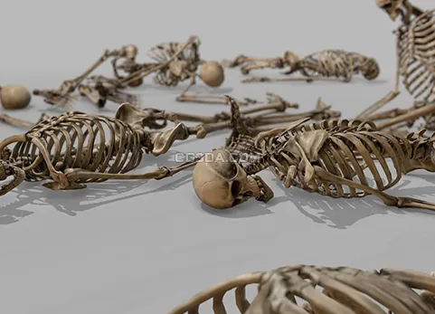 人类骸骨-Modular Human Skeleton
