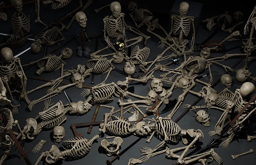 骷髅骨头 - Skeleton Bones